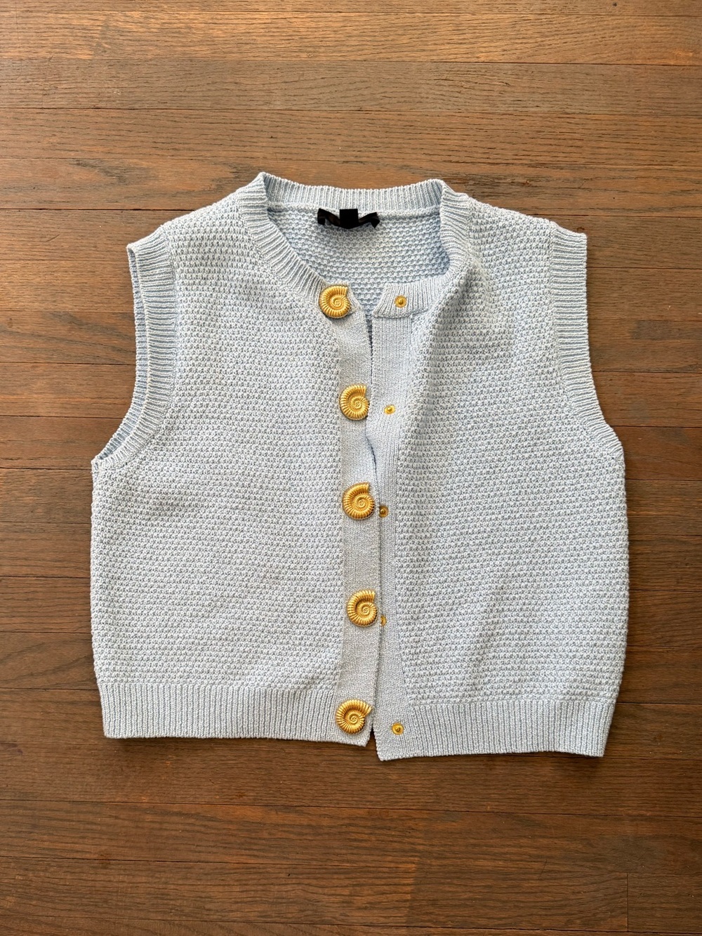 Zara Light Blue Knit Button-Front Vest with Gold Buttons